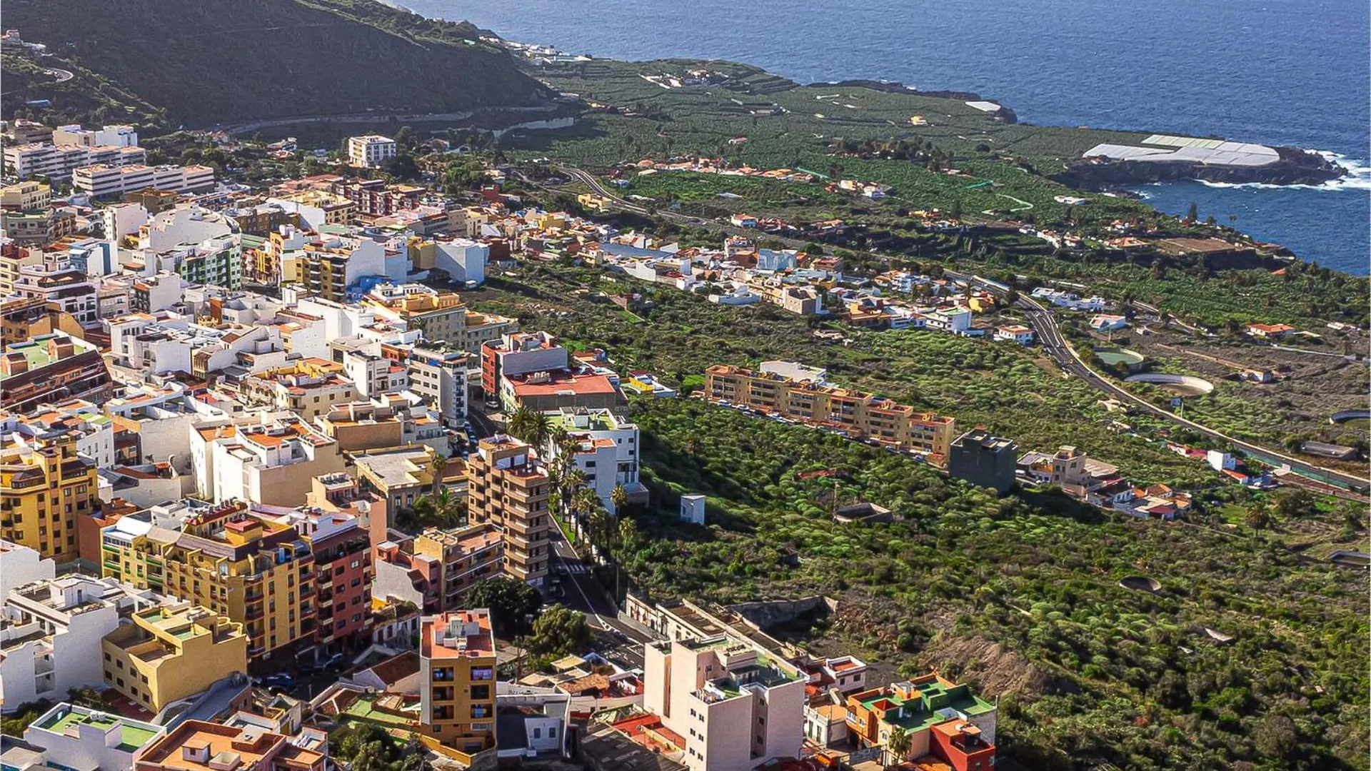 Tenerife Te Espera! Lägenhet Icod De Los Vinos Spanien
